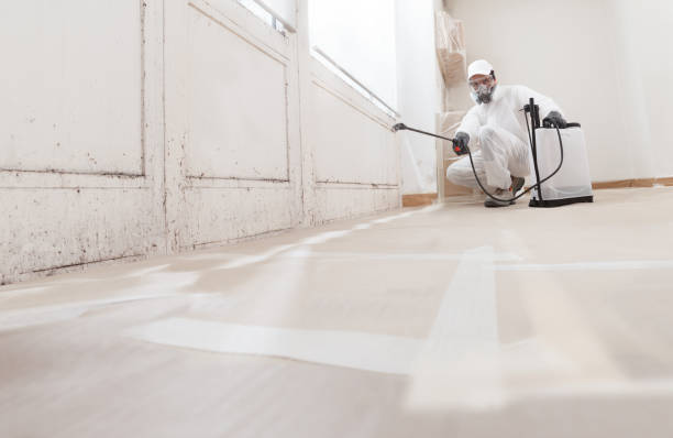 24/7 Emergency Attic Mold Remediation experts in Broadway, VA